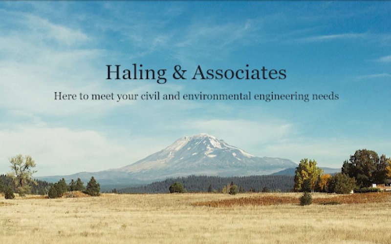 Haling & Associates