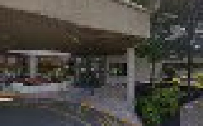 Xenon Inc. of NJ