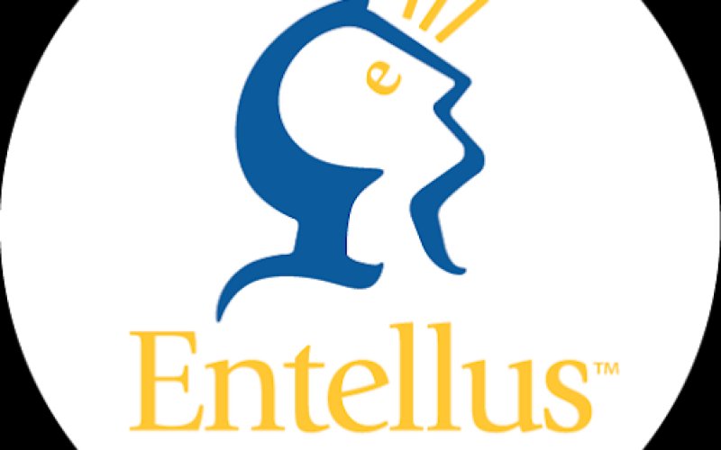 Entellus, Inc - Civil Engineers