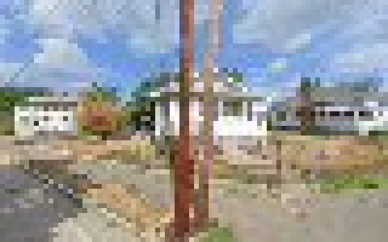 Neponset Valley Survey Associates