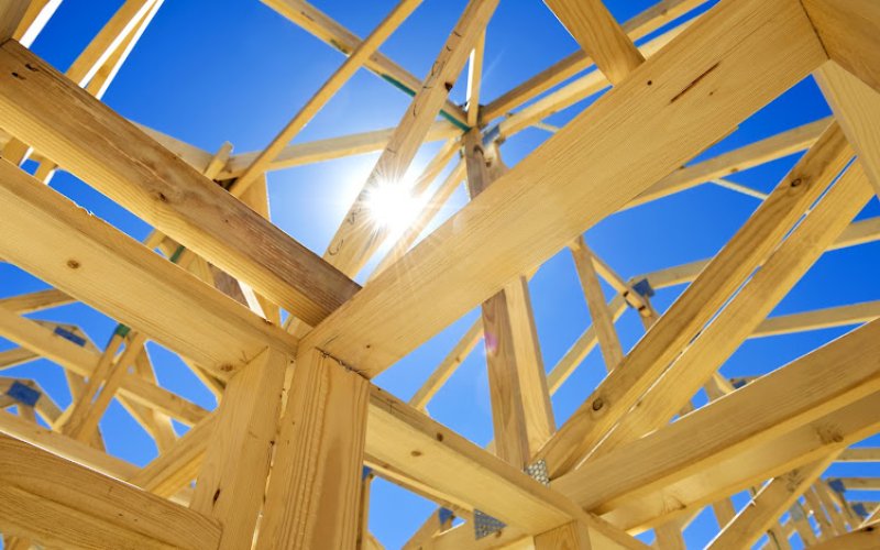 Sapp Structural Engineering & Inspections — Structural engineer in Savannah