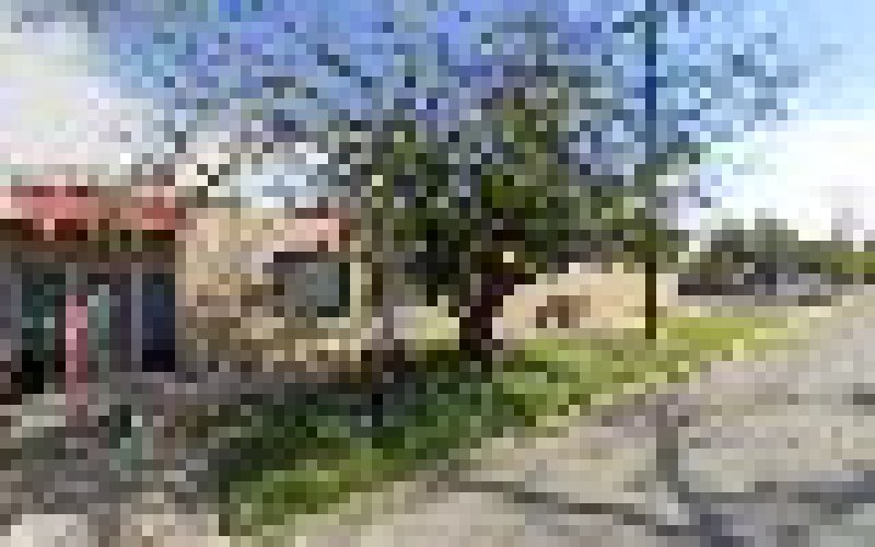 Langerman Foster Engineering Company
