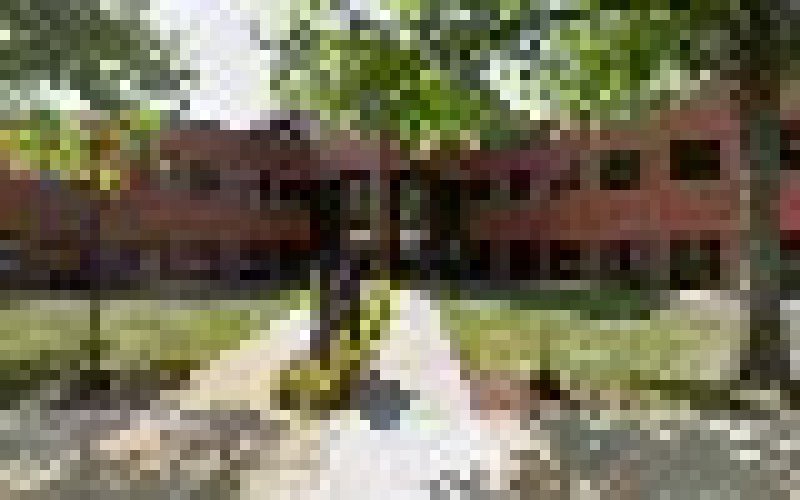 Alvine Engineering