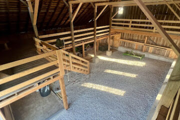 Freedom Construction